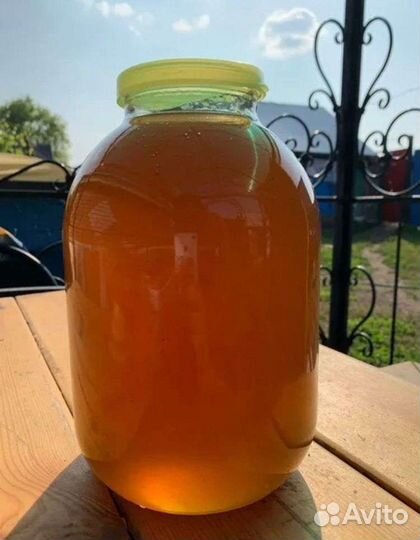 Мед и прополис