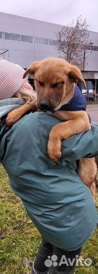 Малыш Матвейка из приюта ищет маму