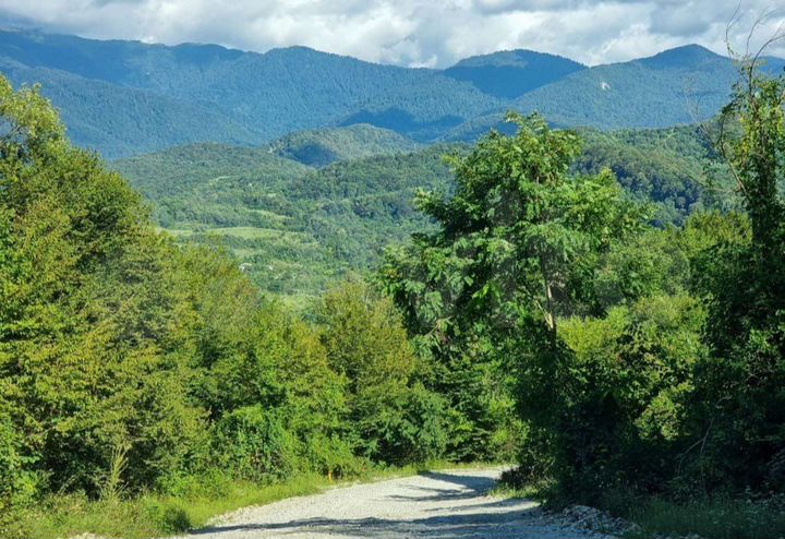 Участок 50 сот. (ИЖС)