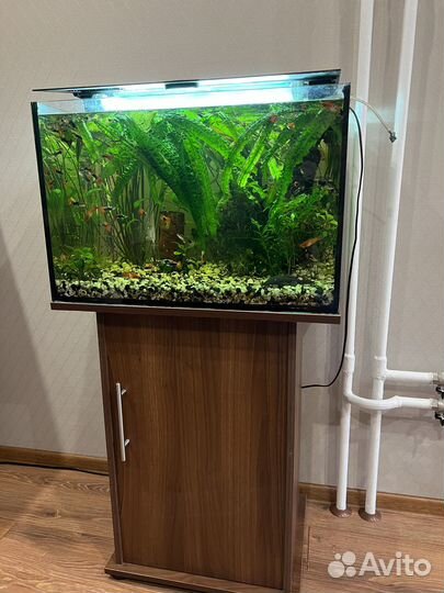 Аквариум с тумбой
