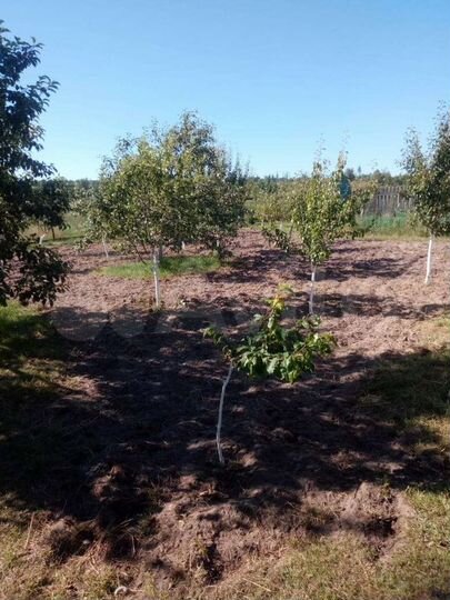 Дом 29 м² на участке 19 сот.