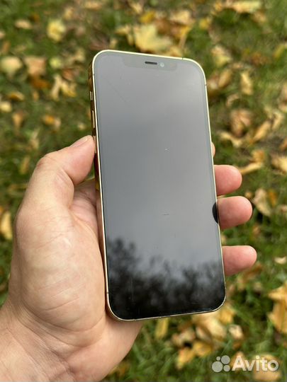 iPhone 12 Pro 256 gb Ростест