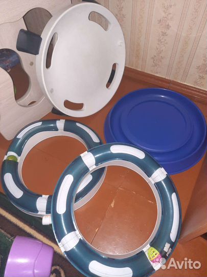 Кошачьи игры, развивашки и переноска