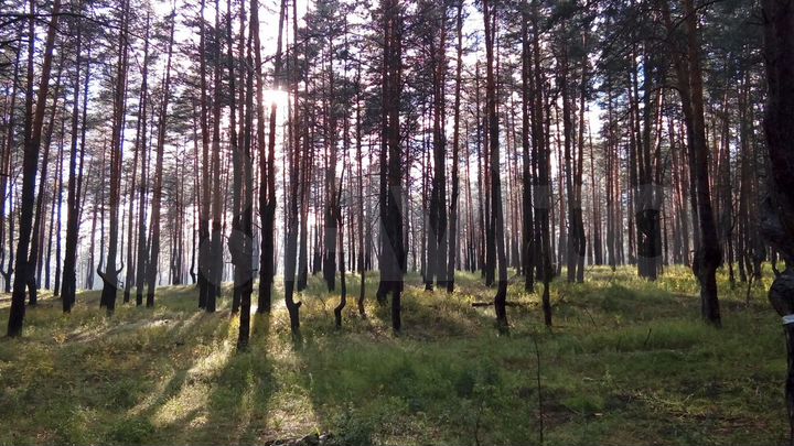 Дом 36 м² на участке 100 сот.