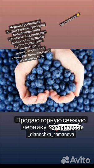 Горная черника