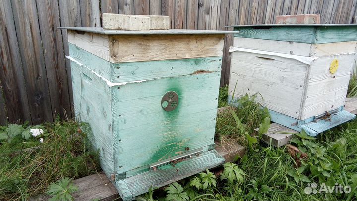 Весь необходимый инвентарь для пчеловодства