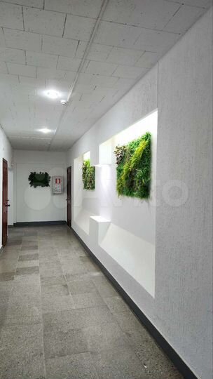 Офис, 21 м²
