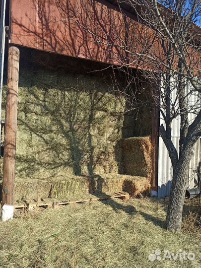 Сено в тюках