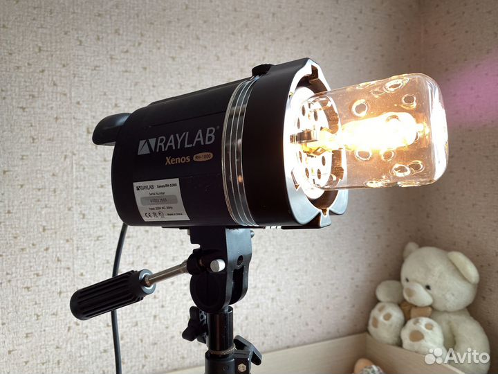 Постоянный свет Raylab Xenos RH-1000