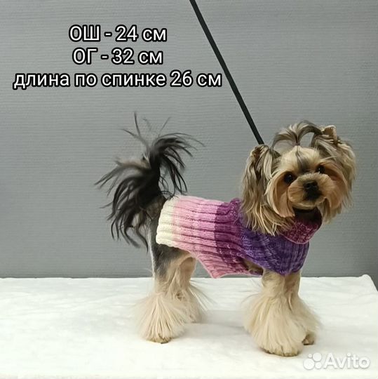 Вязаная одежда для собак