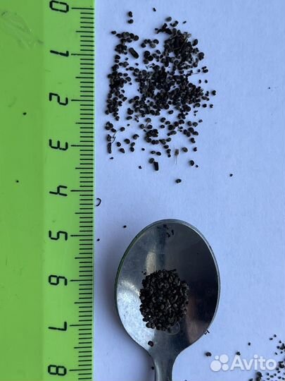 Мак многолетний (семена)