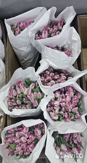 Цветы в Черемхово