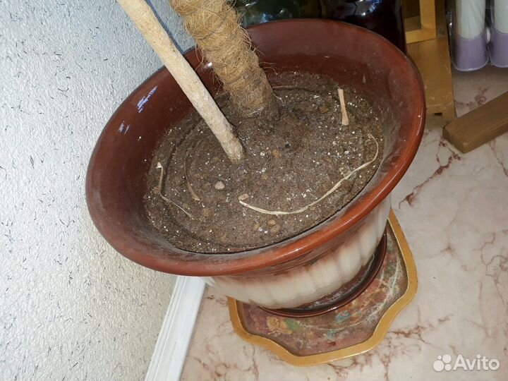 Большие керамические горшки