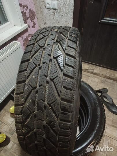 Tigar Winter 215/60 R17 96