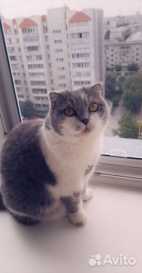 Москитные сетки