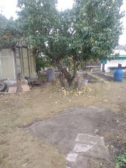 Участок 5,8 сот. (СНТ, ДНП)