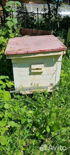 Улей для пчел