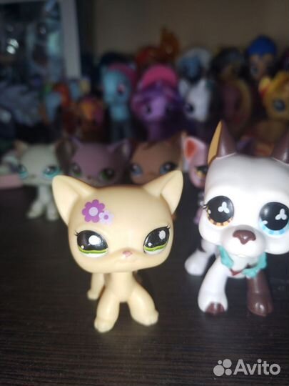 Littlest Pet Shop