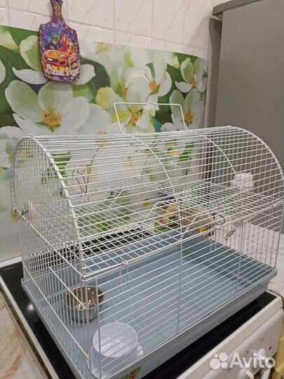 Клетка для грызунов большая