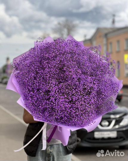 Букеты гиганты из гипсофилы, цветная гипсофила