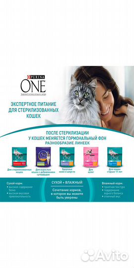 Сухой корм для кошек Purina ONE 3 кг