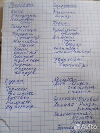 Рассада, помидоры и тд