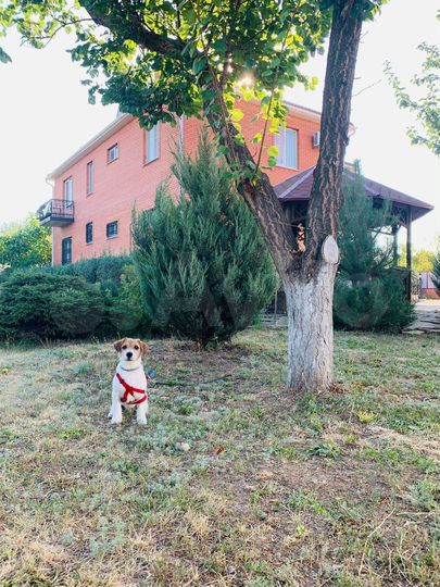 Дом 289 м² на участке 17,3 сот.