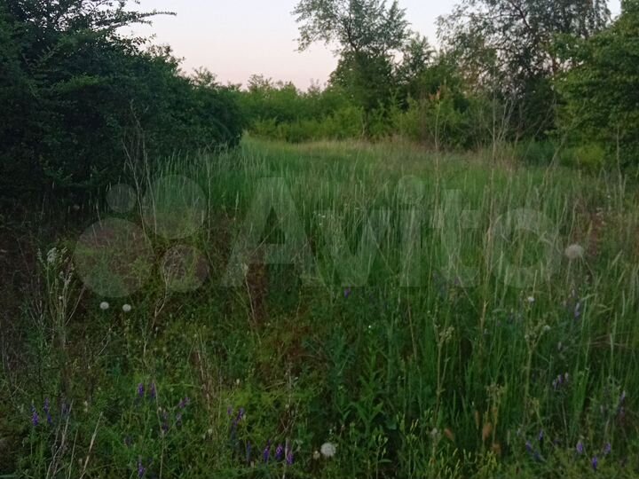 Участок 15 сот. (ИЖС)