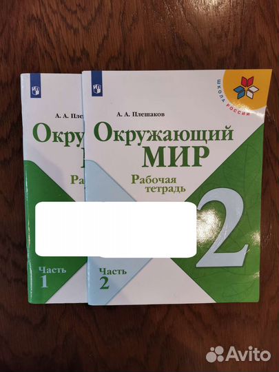 Рабочие тетради Окружающий мир 2 класс
