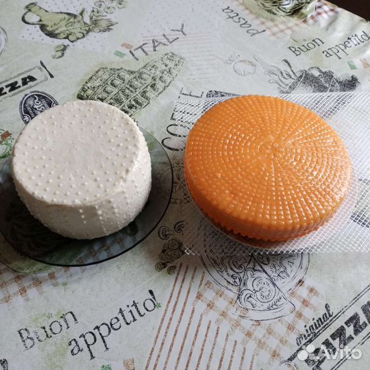 Козье молоко, англо-нубийских коз