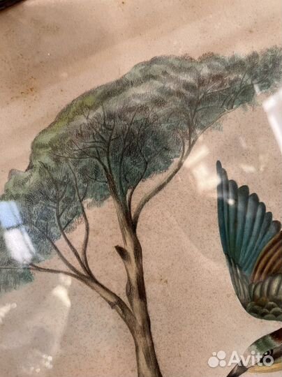 Старинная акварель 44.5х54 см в раме дерево