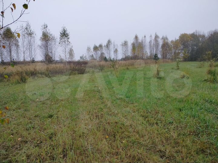 Участок 50 сот. (ИЖС)