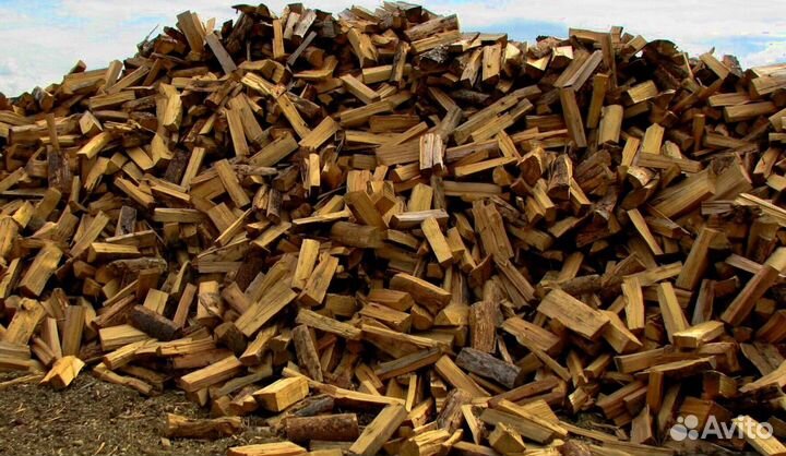Дрова осиновые наколотые