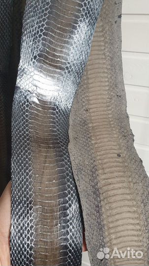 Натуральная змеиная кожа