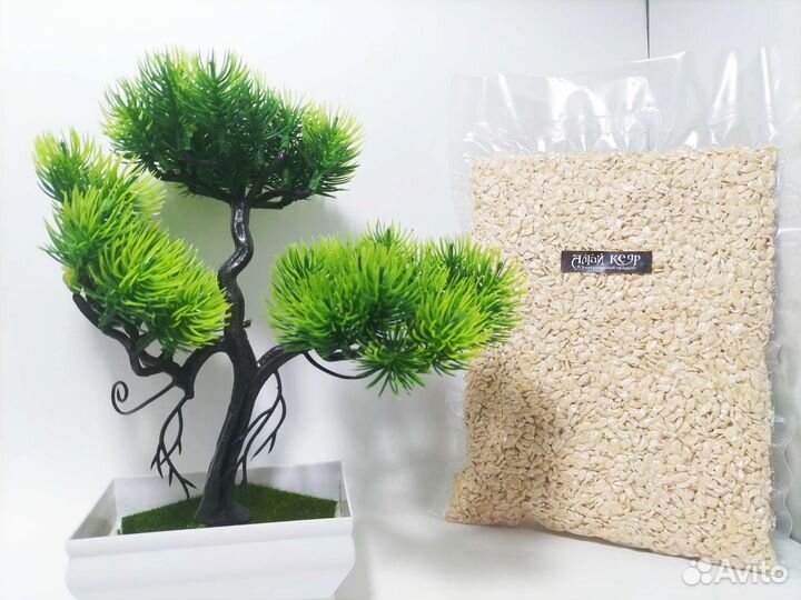 Жмых кедрового ореха 250 гр