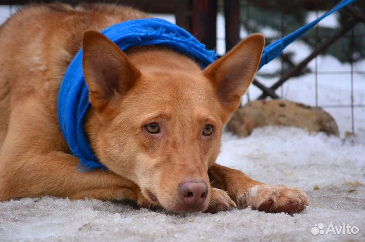 Ну просто нереальный мальчик Огонек