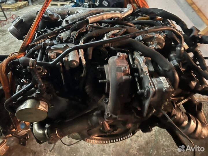 Двигатель дизельный 3.0 casa 240 л.с. Volksvagen