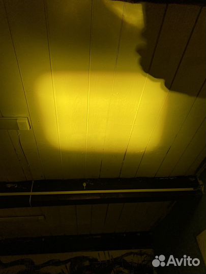 Диодные лампы Линзовые в птф - h11