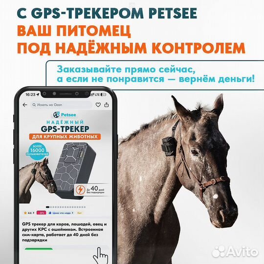 Gps tracker для лошадей