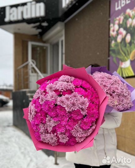 Хризантема