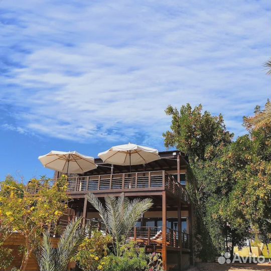 Уникальные йога-туры & мероприятия