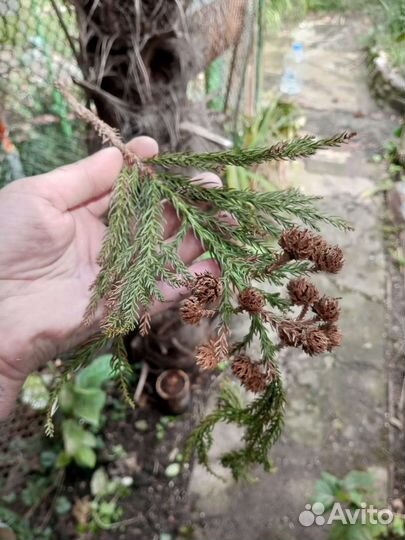 Новогодний декор