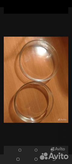 Чашка петри