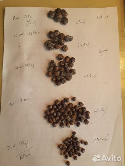 Гранаты альмандины, коллекционные. Карелия