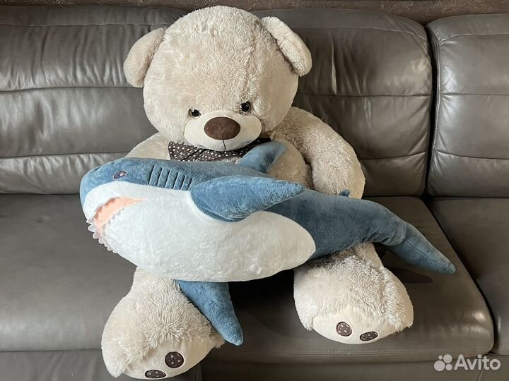 Плюшевый медведь большой и большая акула