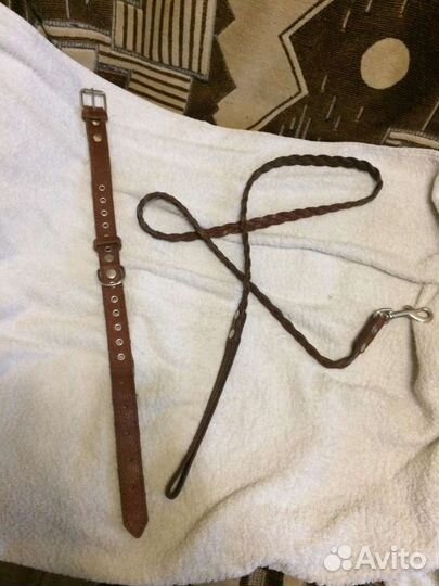 Ошейник для собак