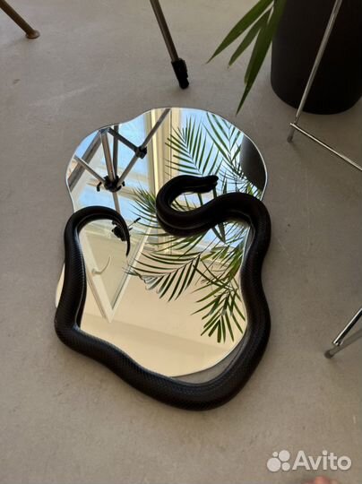 Королевская змея Нигрита в аренду