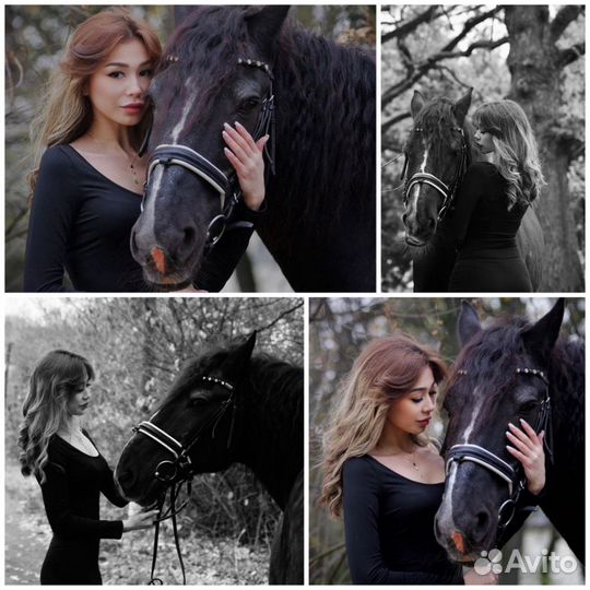 Фотограф, фотосессии с лошадьми, фотопрогулки