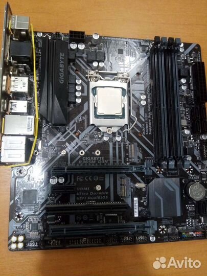 Мат плата Gigabyte B365M D3H