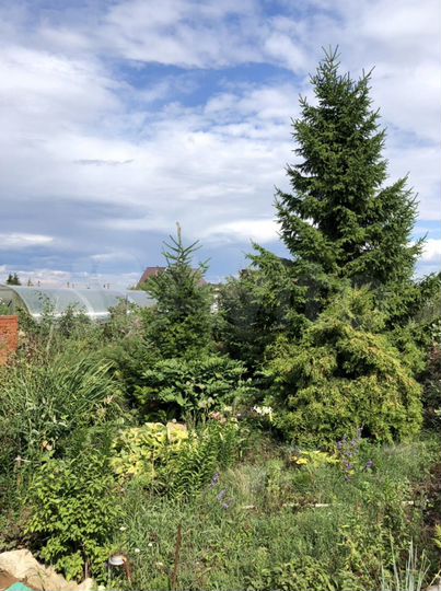 Дом 100 м² на участке 10 сот.